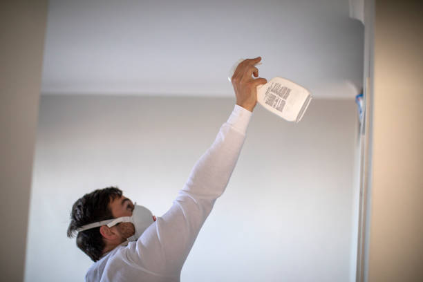 Best Bathroom Mold Remediation in Roxana, IL
